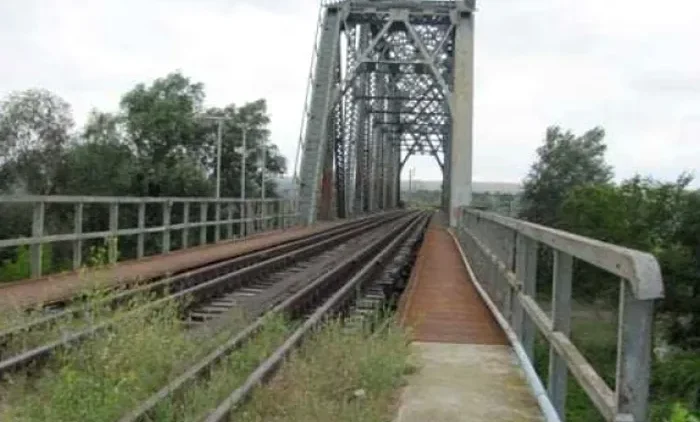 falciupod