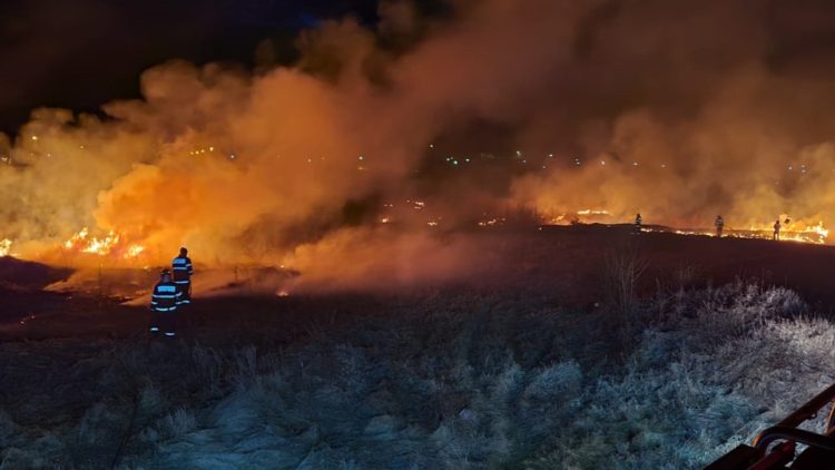 incendveg