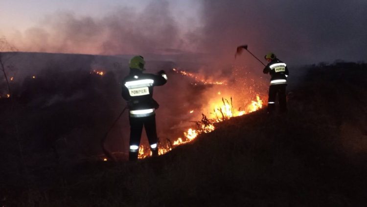 incendveg
