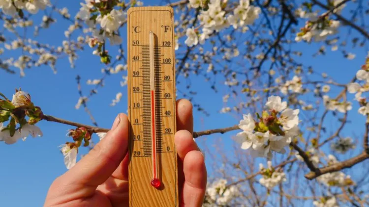 meteo