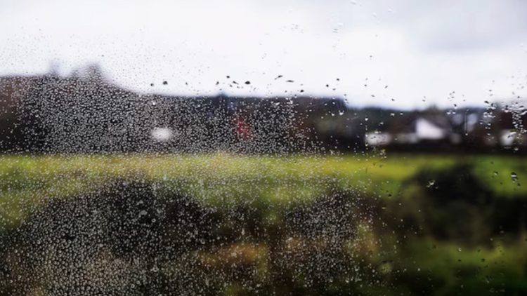 meteo