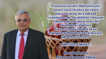 FALCIU.mp4_snapshot_00.00.326