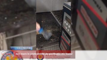 Jale mare în unele unități de panificație din Vaslui.mp4_snapshot_02.52.720
