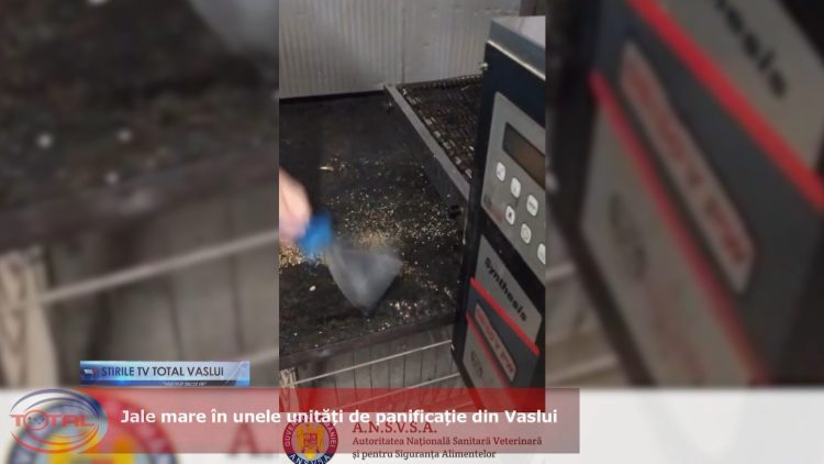 Jale mare în unele unități de panificație din Vaslui.mp4_snapshot_02.52.720