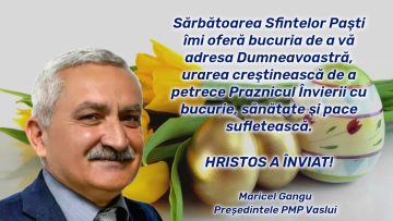 PMP.mp4_snapshot_00.00.417