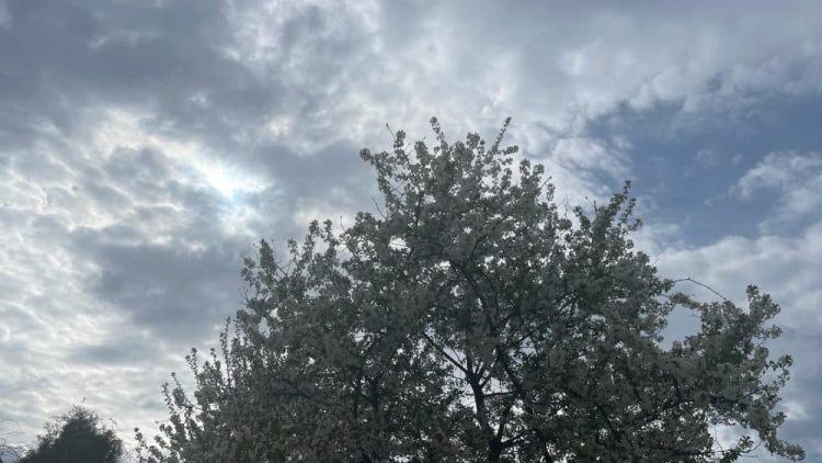 meteo