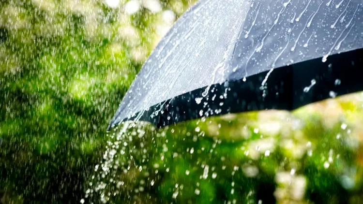 meteo