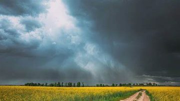 029_4517_01.00_14_19_17.Still011