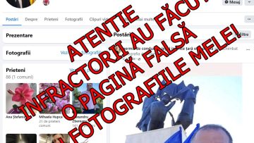 997ab22a-1d53-4aa0-b3a0-076699bdee32