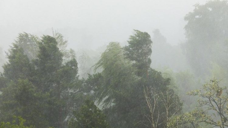 meteo