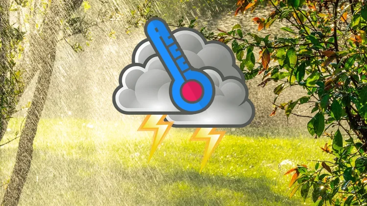 meteo