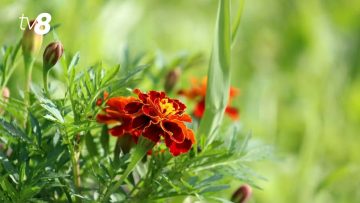 xr:d:DAFir8-_HVg:220,j:6298688238151709104,t:23092620