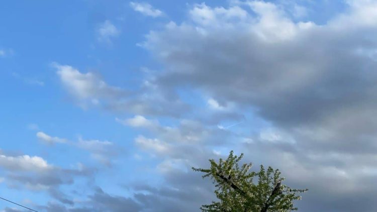 meteo