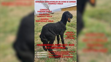 029_4517_01.00_01_56_11.Still012