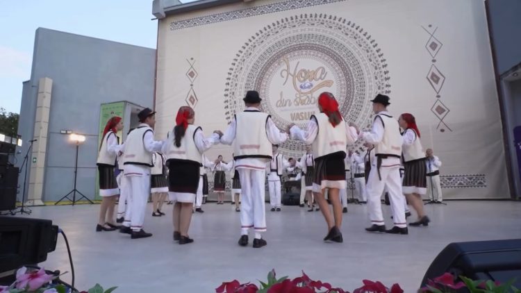 A DOUA ZI FESTIVAL.mp4_snapshot_02.30.886