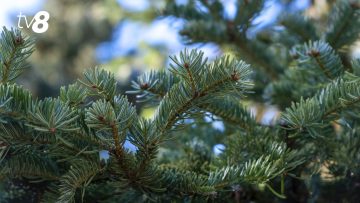 xr:d:DAFycwYILc0:656,j:8042719393986475153,t:24012305