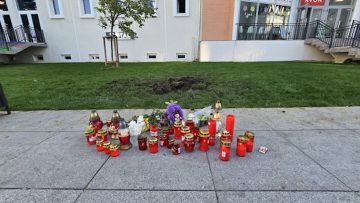 029_4517_01.00_01_53_24.Still012