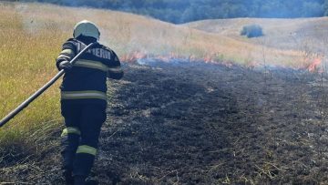 029_4517_01.00_01_56_24.Still012