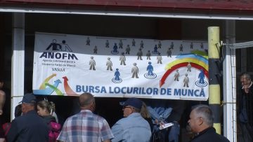 029_4803_01.MP4_snapshot_00.00.618