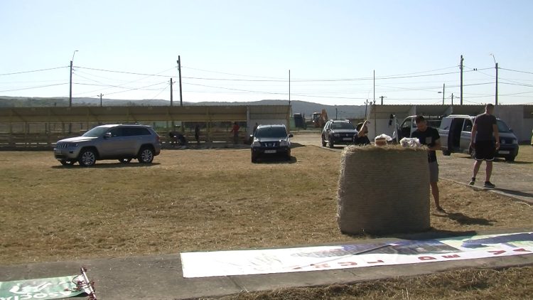 252_0691_01.MP4_snapshot_00.00.468