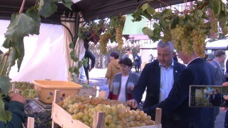 252_0919_01.MP4_snapshot_00.02.251