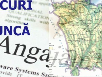 locuri de munca.00_00_00_00.Still001