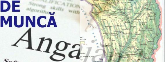 locuri de munca.00_00_00_00.Still001