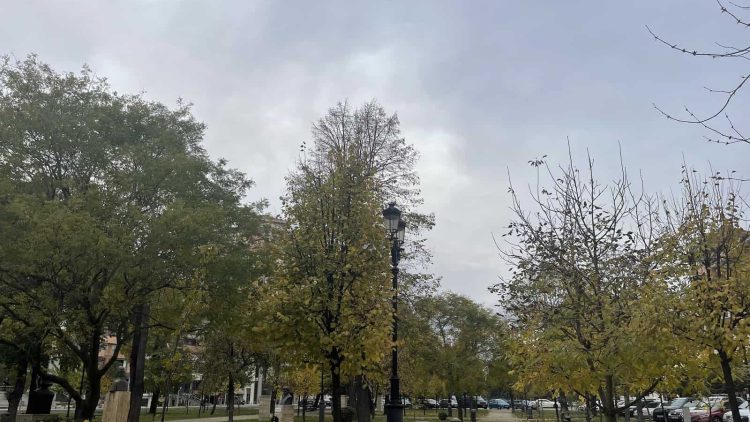 meteo