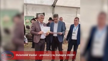 029_4517_01.mp4_snapshot_00.57.699