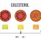 colesterol