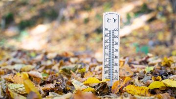 Thermometer with autumn foliage, fall season, measure the temperature, weather forecast, cold rainy day