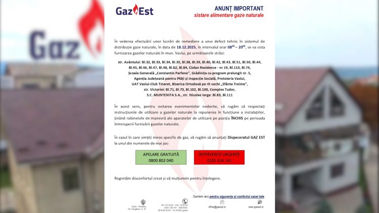 029_4517_01.00_01_07_19.Still013