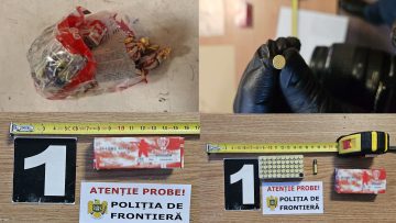 029_4517_01.00_00_00_00.Still013