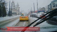 IARNA.mp4_snapshot_00.19.280