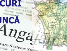 locuri de munca.00_00_00_00.Still001