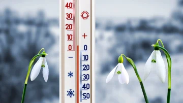 meteo