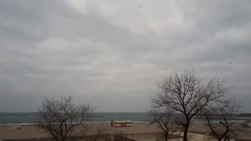 meteo