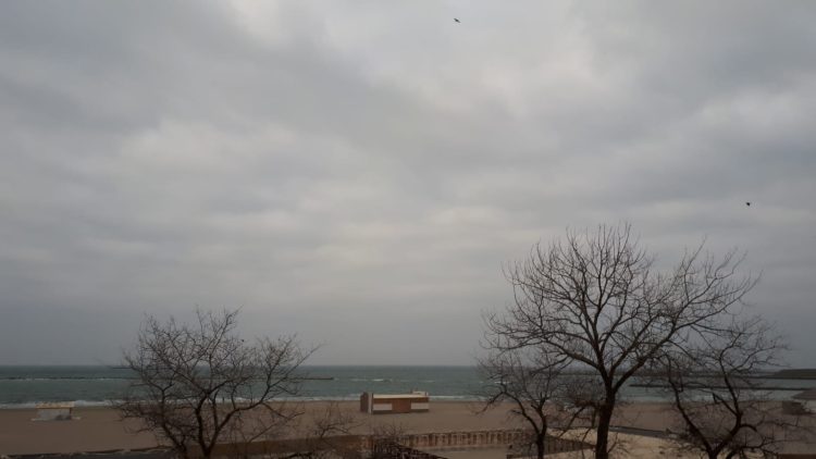 meteo