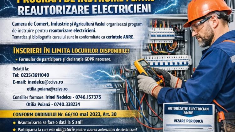 CCIAelectr