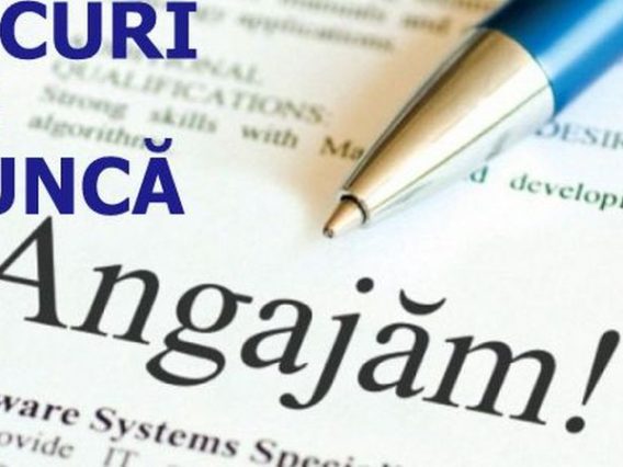 locuri de munca