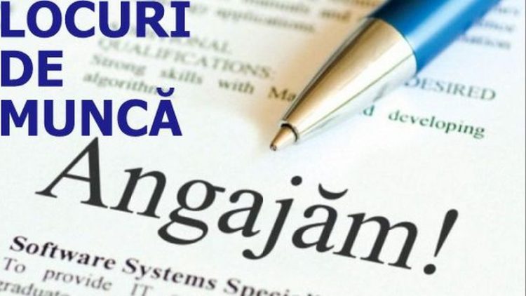 locuri de munca