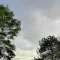 meteo