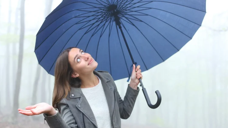 meteo