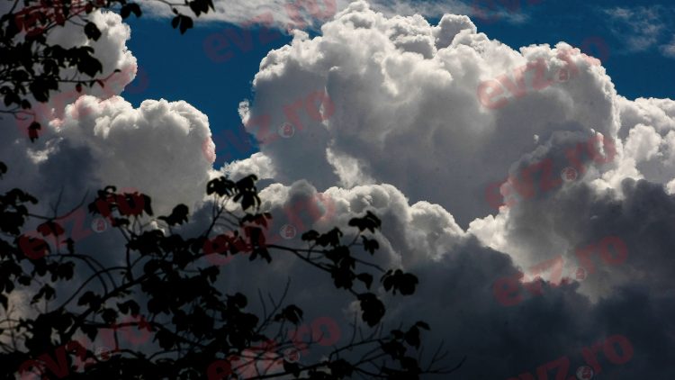 meteo