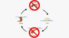 029_4517_01.00_00_00_00.Still013