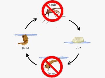 029_4517_01.00_00_00_00.Still013