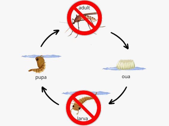 029_4517_01.00_00_00_00.Still013