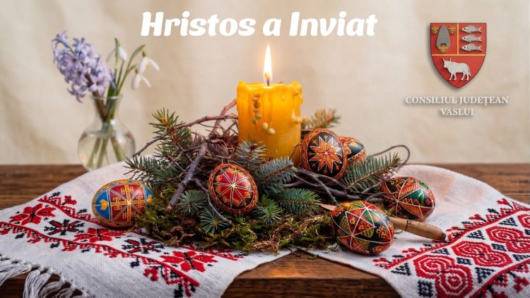 WhatsApp Image 2026-04-08 at 09.26.08