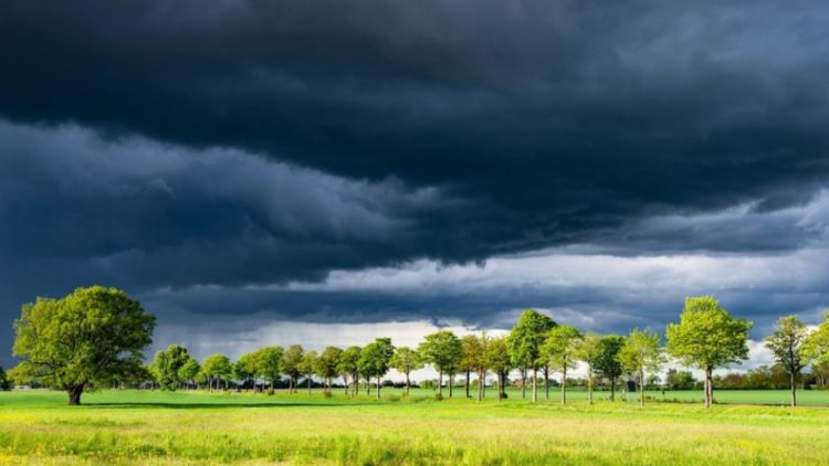 meteo