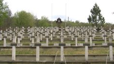 252_1765_01.MP4_snapshot_00.01.513